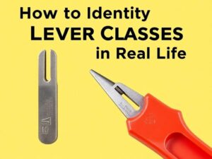  How to Identify Lever Classes in Real Life