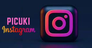 picuki instagram app