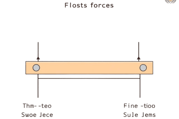 Explain What Distinguishes First-Class Levers from Second and Third-Class Levers